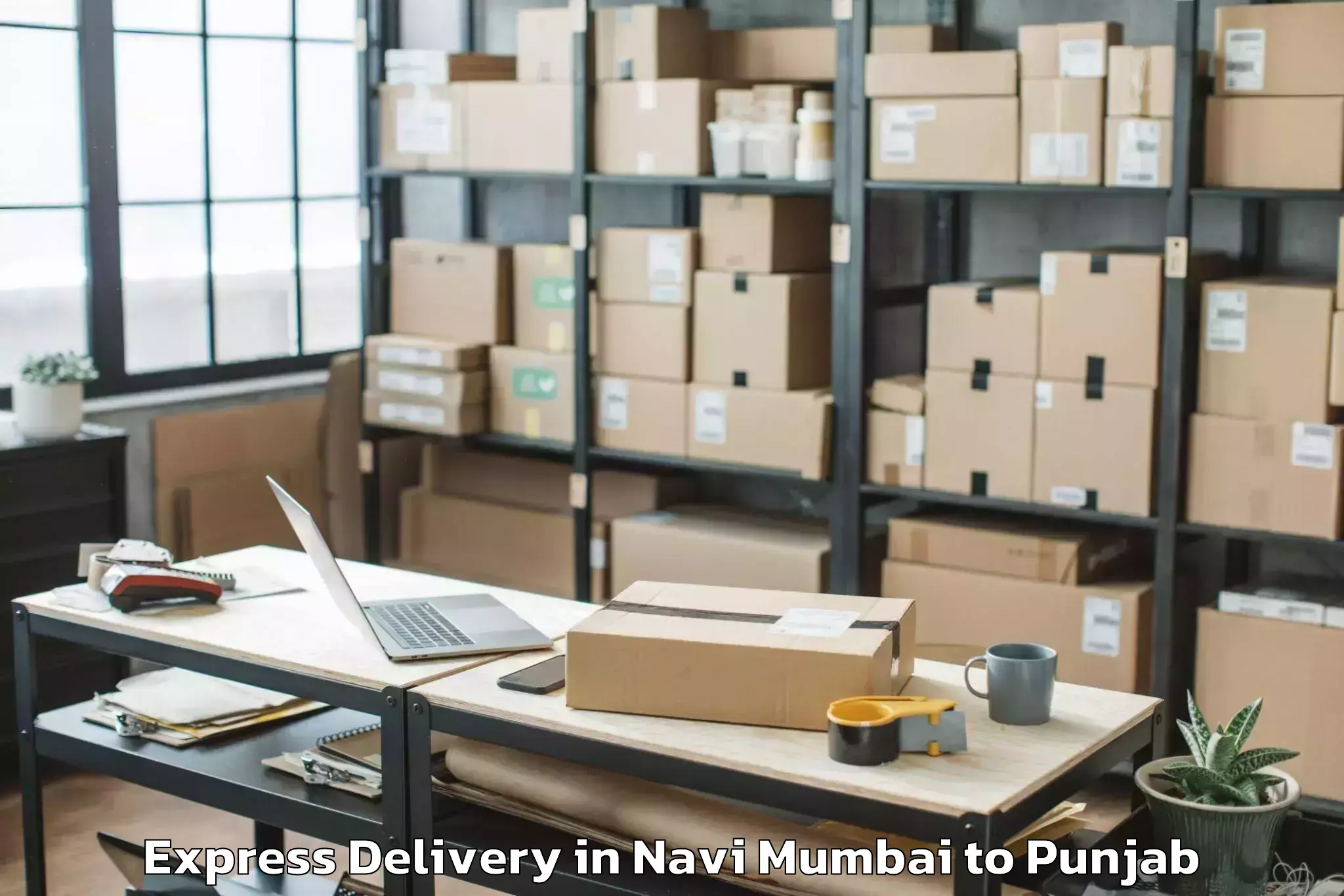 Professional Navi Mumbai to Punjab Express Delivery